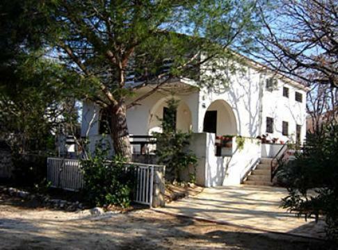 Apartamento Vesna Pag Potocnica Borovići Exterior foto